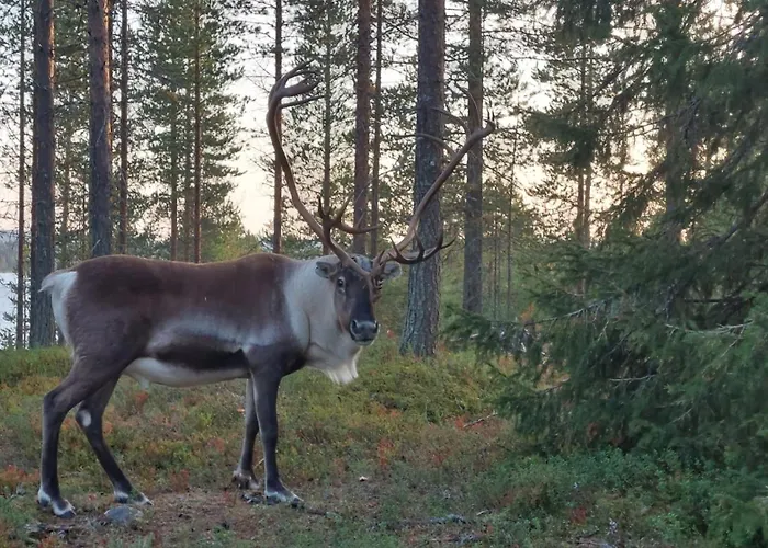 木屋 Hilda, By The